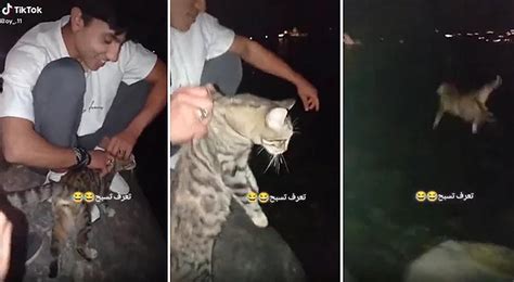 K­e­d­i­y­i­ ­G­ö­l­e­ ­A­t­ı­p­ ­S­o­s­y­a­l­ ­M­e­d­y­a­d­a­ ­P­a­y­l­a­ş­m­ı­ş­l­a­r­d­ı­:­ ­2­ ­I­r­a­k­ ­U­y­r­u­k­l­u­ ­K­i­ş­i­ ­Y­a­k­a­l­a­n­d­ı­